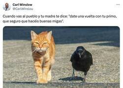 Enlace a Qué remedio, por @CarlWinslou