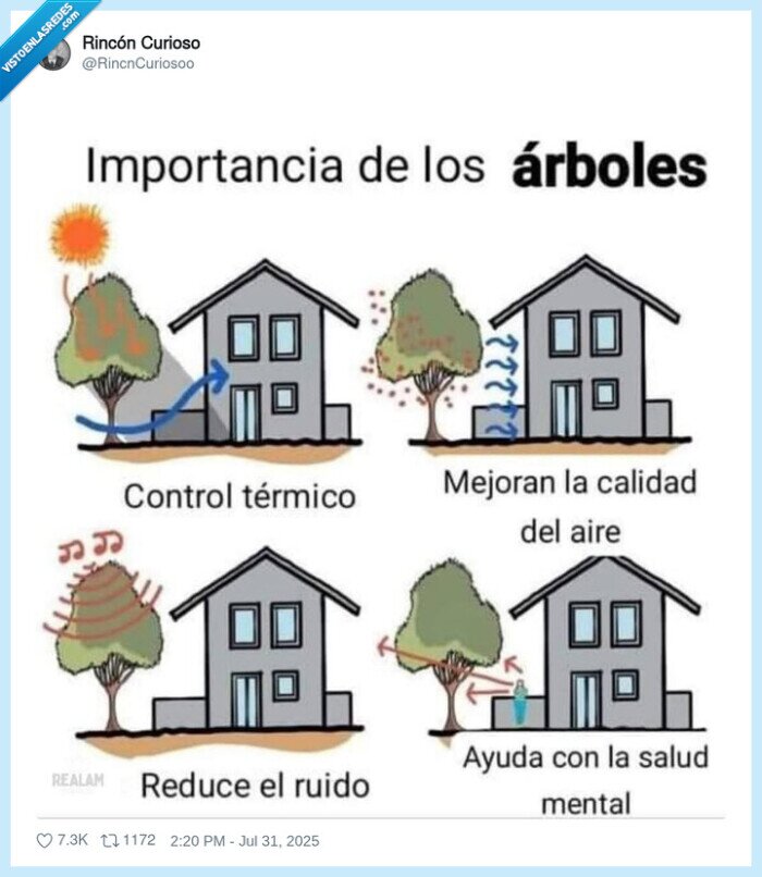 árboles,calidad,ayuda,beneficios