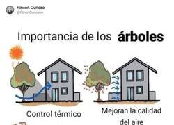 Enlace a Algunos políticos no lo entienden, por @RincnCuriosoo