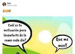 Enlace a Me vale, por @Dolo191922