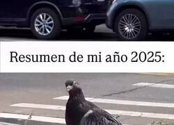 Enlace a 2025 vuelve a ser un año duro, por @majogm