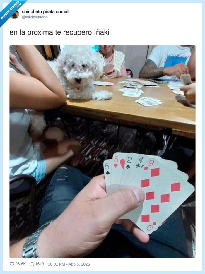 perro,poker,jugar,juego,apostar