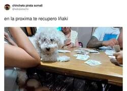Enlace a Pobre Iñaki, lo que tiene tener un dueño ludópata, por @wikipistacho