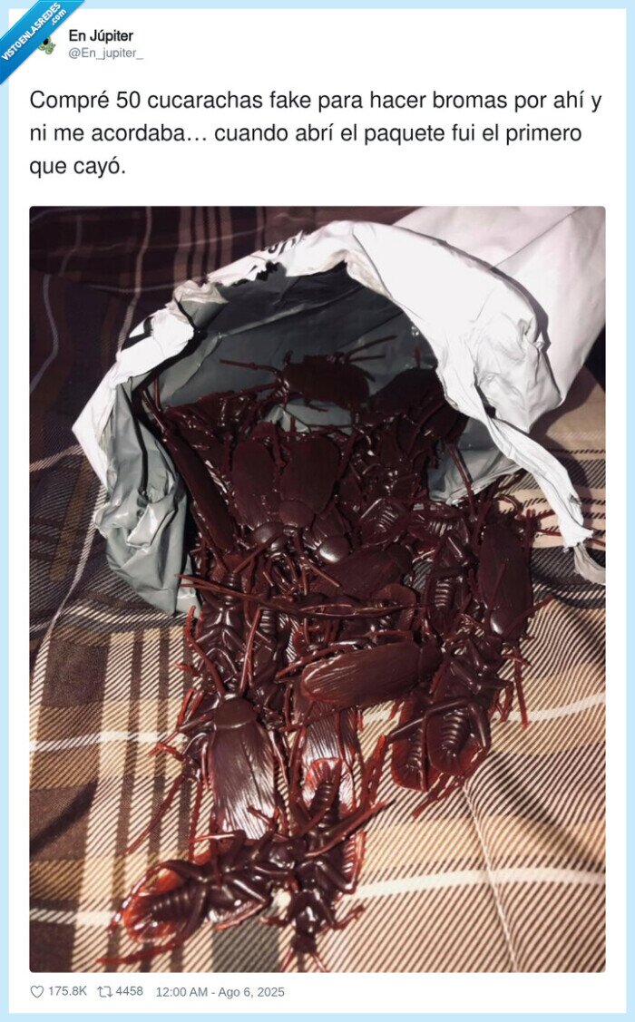 cucarachas,paquete,bromas