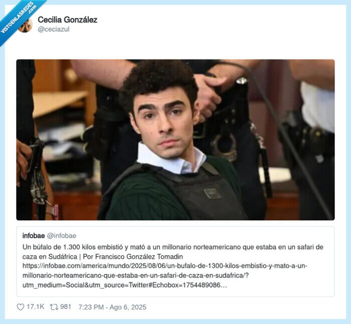 búfaIo,embestir,millonario,safari,caza