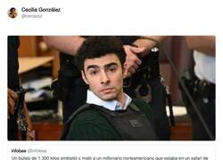 Enlace a Mangione se reencarna en un búfaIo, por @ceciazul