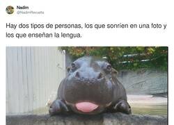 Enlace a Dos en la misma foto, por @NadimRevuelta