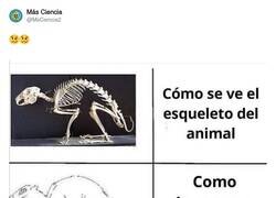 Enlace a Hay que meterle sensacionalismo, por @MsCiencia2