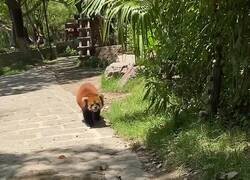 Enlace a Se la cambiaba por la mía ahora mismo, por @Arteymas_