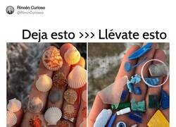 Enlace a Dejad el ecosistema marino en paz, por @RincnCuriosoo