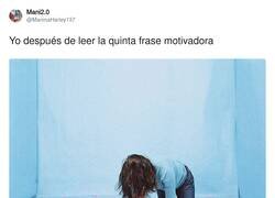 Enlace a ¿Esto no es muy 2015?, por @ManinaHarley137