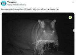 Enlace a Me atrapaste por @supermanumolina