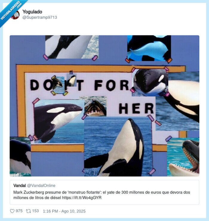 zuckerberg,yate,rico,orca