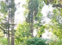 Enlace a Todo un seductor, por @El_Triqui_