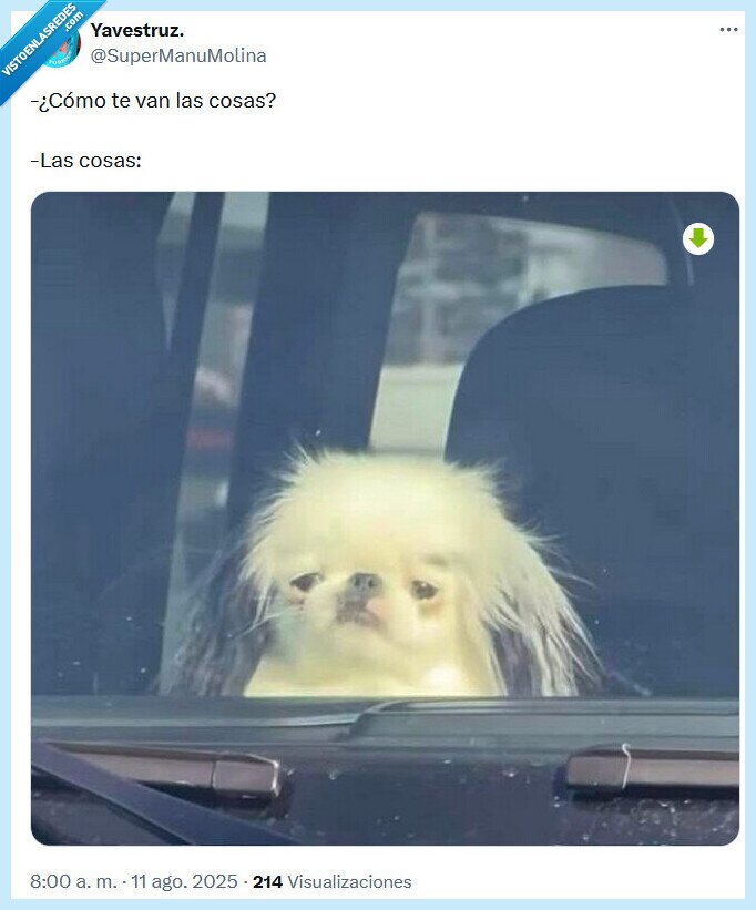 cosas,van,cómo