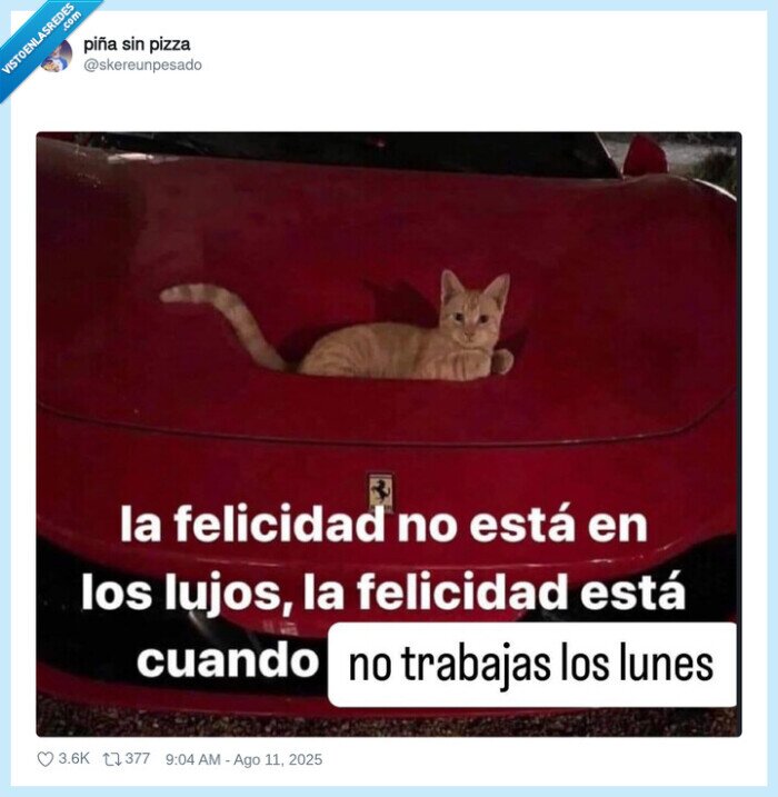 felicidad,trabajar,lunes,viernes