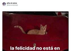 Enlace a Ni los viernes, por @skereunpesado