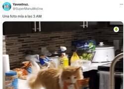 Enlace a El aperitivo nocturno por @supermanumolina