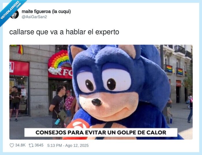 callarse,experto,hablar,sonic