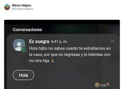 Enlace a Dejaste huella en tu suegra