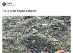 Enlace a Chincha rabiña, Giorgina, por @86Monik37