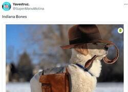 Enlace a El mejor amigo de por @supermanumolina