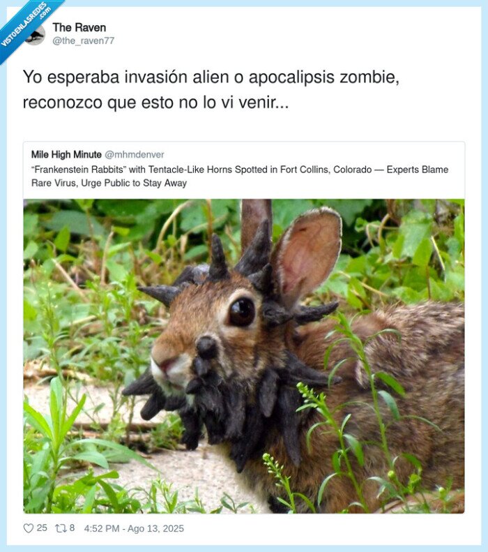 apocalipsis,invasión,zombie,conejos,frankestein,tumor