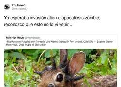 Enlace a Conejos Frankestein, creo que esta noche me costará dormir, por @the_raven77