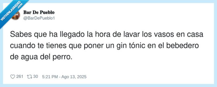 bebedero,vasos,gin tónic,servir