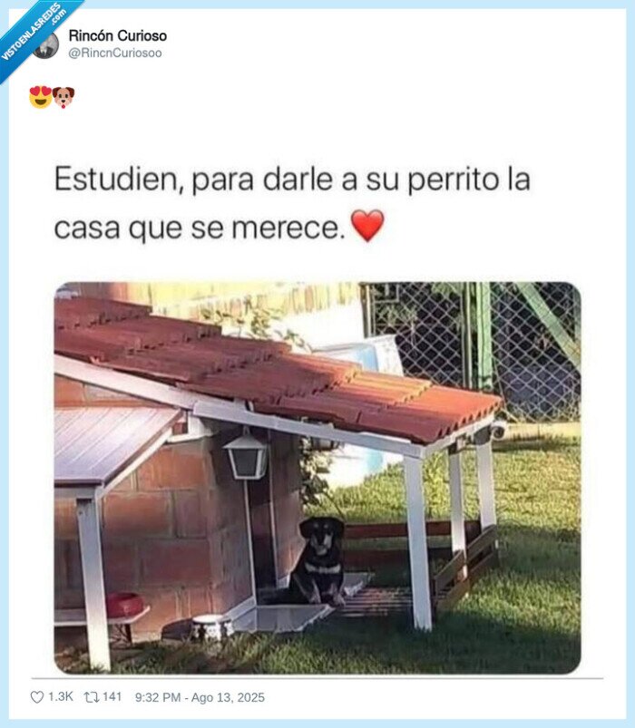 casa,perro,estudiar