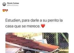 Enlace a Estudia por ellos, por @RincnCuriosoo