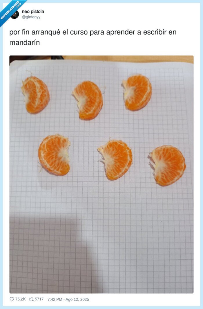 mandarín,aprender,escribir,curso,mandarinas,gajos