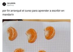 Enlace a ¿Qué pone ahí?, por @gintonyy