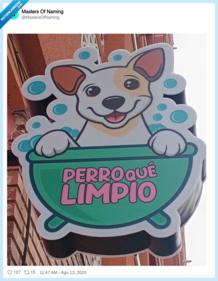 cartel,perro,limpio,tienda