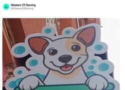Enlace a ¡¿Perro esto qué es?!, por @MastersOfNaming