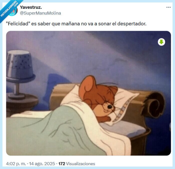 felicidad,despertador,sonar,dormir
