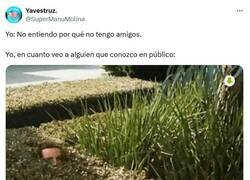 Enlace a Ni come ni deja comer por @supermanumolina