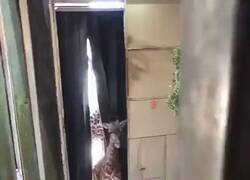 Enlace a Familia unida, por @Arteymas_