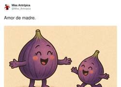Enlace a ¡Higo mío!, por @Miss_Antropica