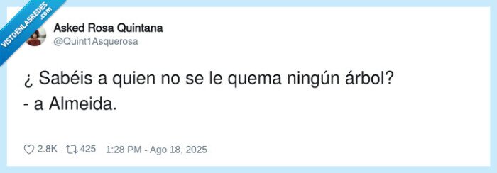 almeida,árbol,incendios,quemarse