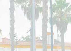 Enlace a Menudos cachondos, por @DiegoVillalba86