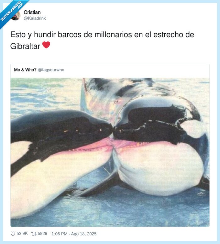 millonarios,gibraltar,estrecho,hundir,barcos,gladys