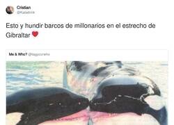 Enlace a Cosas de orcas, por @Kaladrink