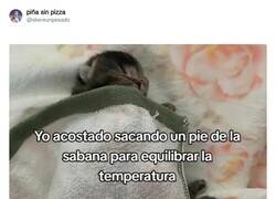 Enlace a El equilibrio perfecto, por @skereunpesado