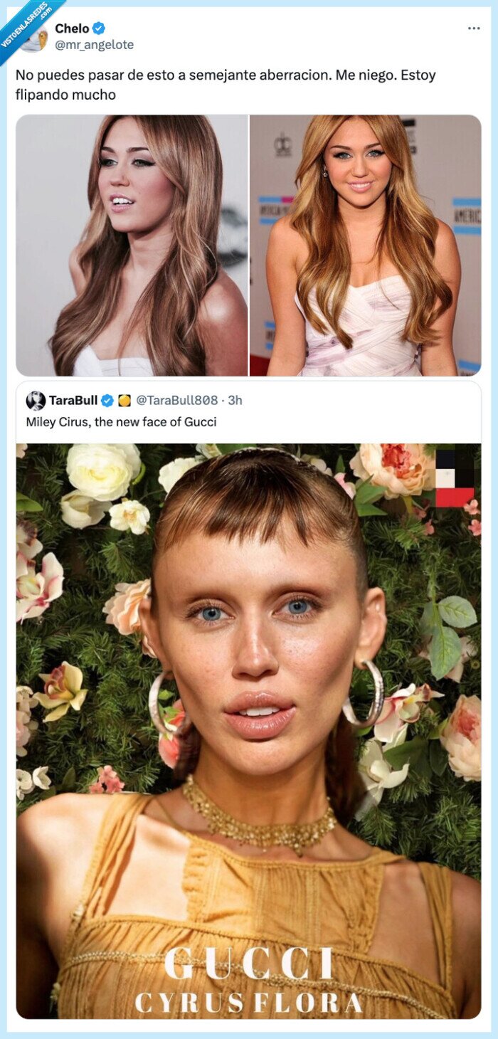 aberracion,gucci,campaña,miley cyrus