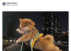 Enlace a Sobre todo si vas a coger transporte público, por @skereunpesado