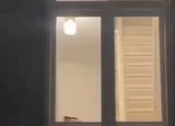 Enlace a Qué penilla de perrito, por @tusmedios