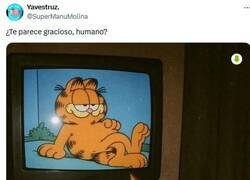 Enlace a El live-action por @supermanumolina