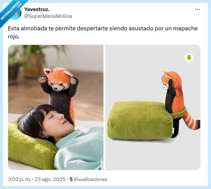 almohada,mapache rojo