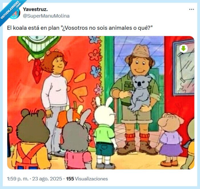 koala,arthur,animales